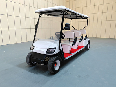 6座高尔夫车CAR-GF06BZ01