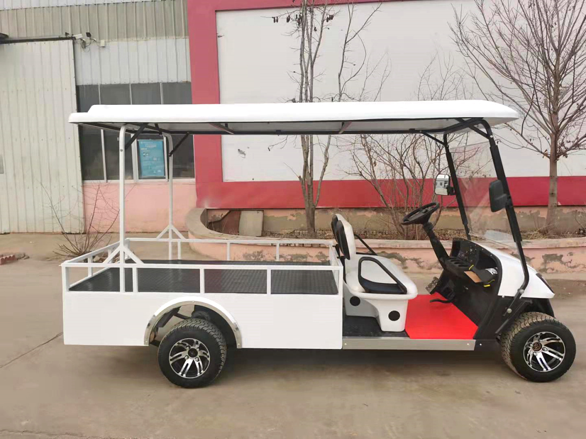 2座电动货斗车带顶棚CAR-HD02GFBZ-DPa.jpg