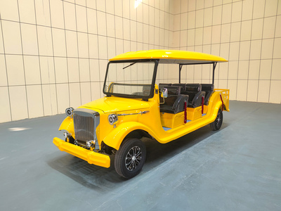 6座电动老爷车带货斗CAR-LY06BZ01