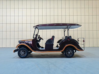 6座电动老爷车CAR-LY06BZ02