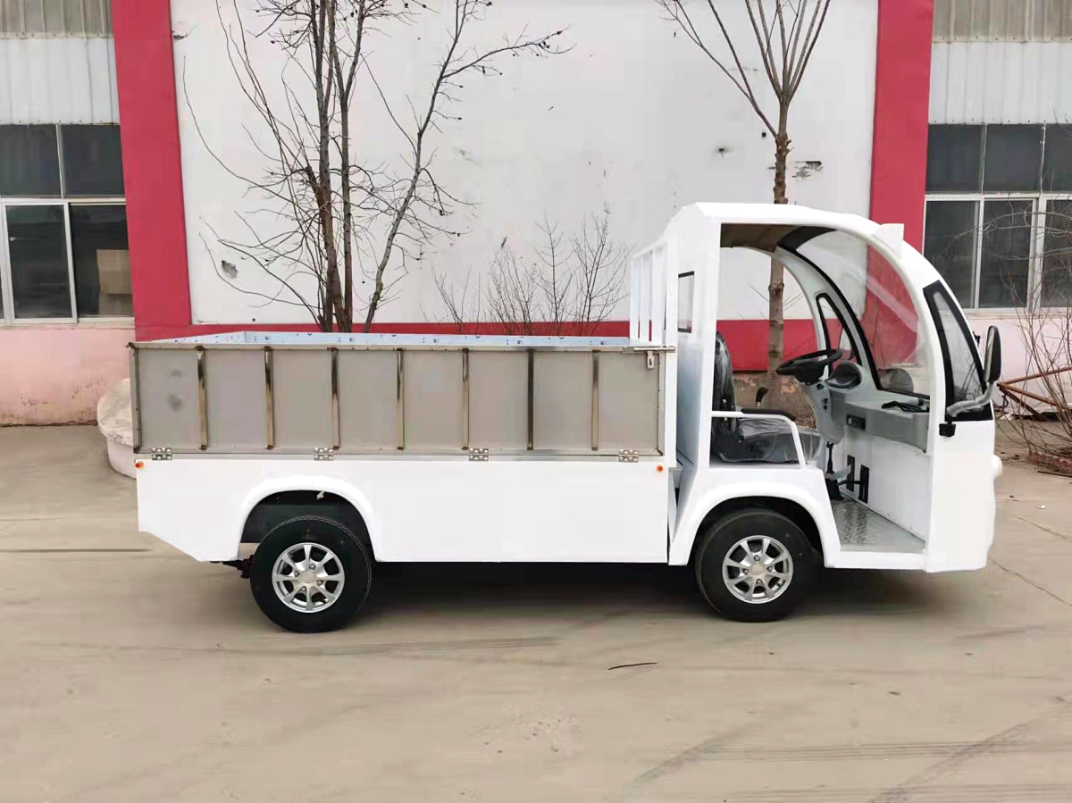 2座电动货斗车带自卸CAR-HD02BZ01-ZXa.jpg