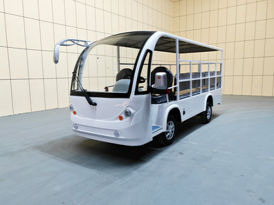 2座电动货斗车CAR-HD02BZ-FB01