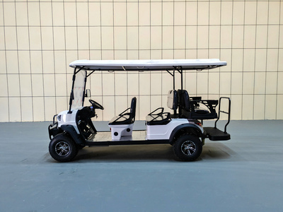 6座高尔夫越野车CAR-GF04+2BZ01-BXG-YY