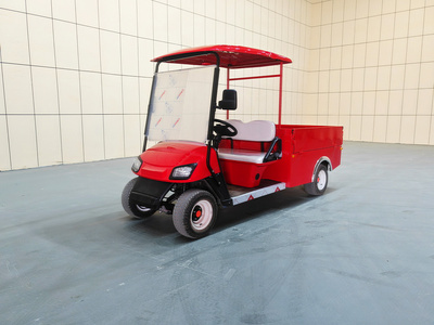 2座电动斗式货车CAR-GF06HD-HD