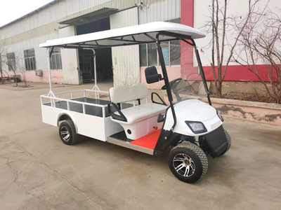 2座电动货斗车带顶棚CAR-HD02GFBZ-DP