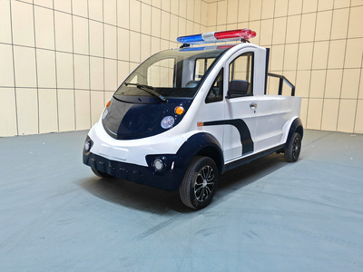 2座斗式巡逻车CAR-XL02-BZ25-HD