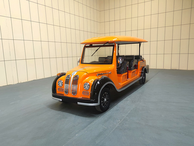 8座电动老爷车宝马款CAR-LY08BZ05