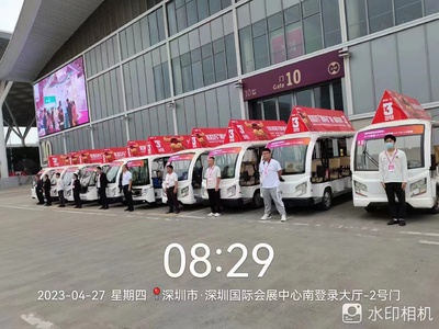 多样车型可选，电动观光车租赁满足多元需求